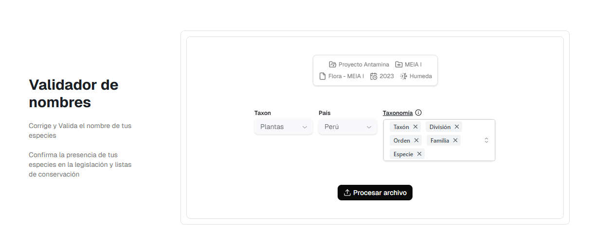 name_validator_stage_db